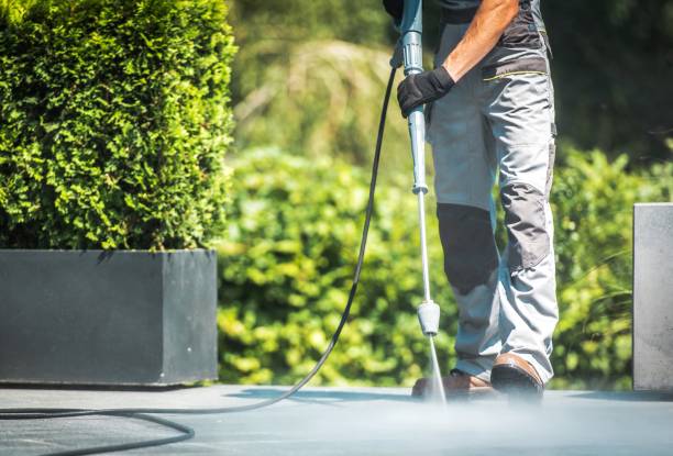 Best Soft Washing  in Muskegon Heights, MI